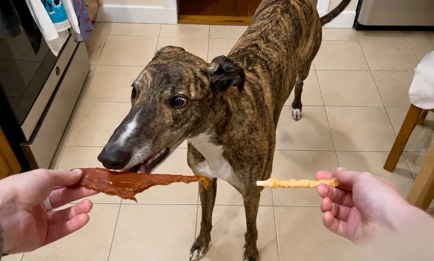 Offer treats chart